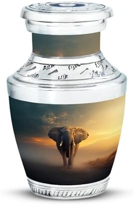 3-Inch Mini Cremation Urn for Adult Ashes - Keepsake Decorative Urn for Mom Dad