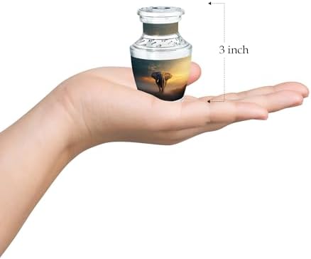3-Inch Mini Cremation Urn for Adult Ashes - Keepsake Decorative Urn for Mom Dad