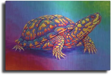 Rainbow Eastern Box Turtle Metal Wall Art 24x16