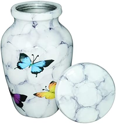Small Urns for Adults with Velvet Box and Lid