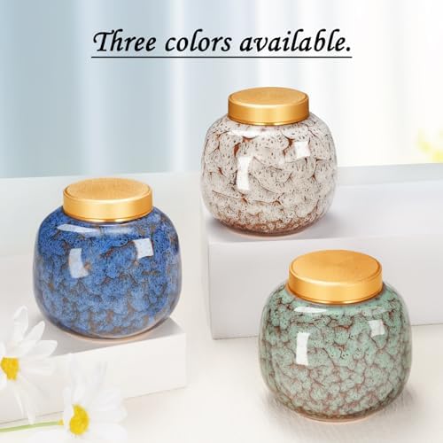 Dletay Mini Ceramic Urn for Human Ashes Keepsake