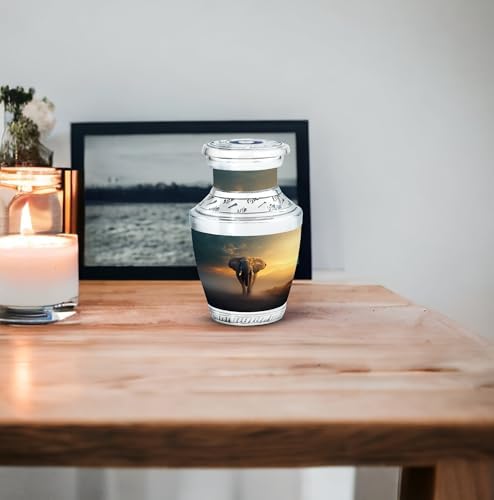 3-Inch Mini Cremation Urn for Adult Ashes - Keepsake Decorative Urn for Mom Dad