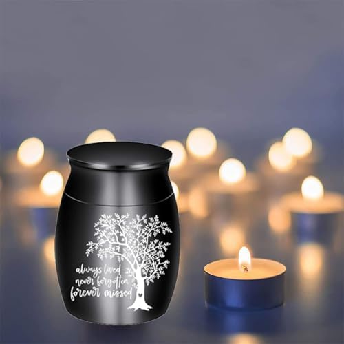 Mini Urn for Human Ashes - 12x16 Portable Cremation Keepsake Urn