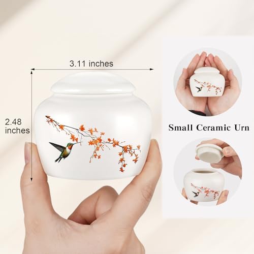 Abooxiu Mini Cremation Urn with Hummingbird Design