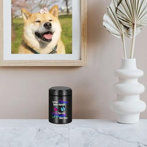 Small Keepsake Cremation Urns for Human Ashes Mini Urn with Angel Wings Design