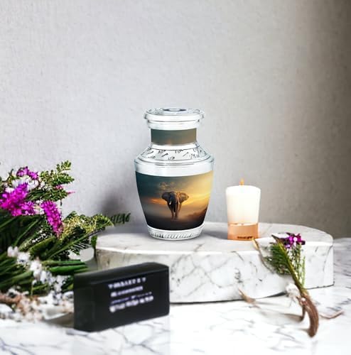 3-Inch Mini Cremation Urn for Adult Ashes - Keepsake Decorative Urn for Mom Dad