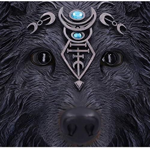 Dark Gothic Magical Wolf Moon Wall Hanging Plaque