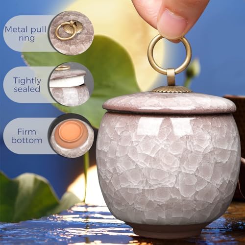 Small Ceramic Urn for Human Ashes Keepsake with Black Box